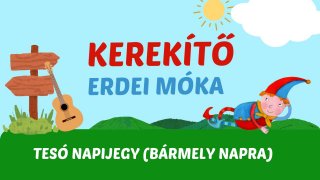 Tesóknak kiegészítő napijegy