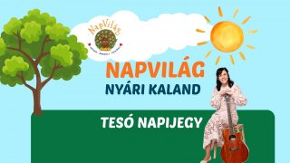 Tesó napijegy